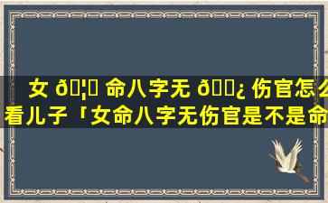 女 🦍 命八字无 🌿 伤官怎么看儿子「女命八字无伤官是不是命中无儿子」